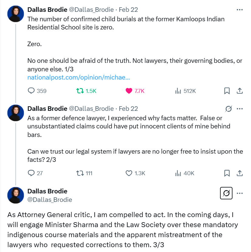 The Attempts to Cancel Dallas Brodie (and Truth)