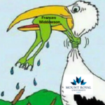 MRU and MRFA responses to the 12 reasons why Widdowson’s employment relationship was declared “unviable” by MRU